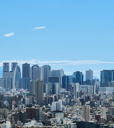 官有地払下げ